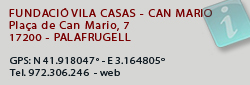 Can Mario, Fundació Vila Casas