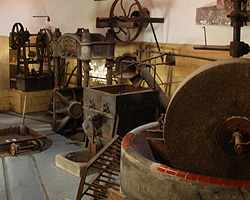 Museu de l'Oli, Espai Trull de Can Rubies, Selva de Mar