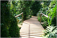 Butterfly Park - Castell d'Empries