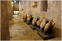 Museu d'Arqueologia de Catalunya - Girona