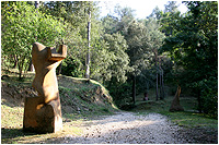 Bosque de Can Ginebreda - Porqueres (Gerona)