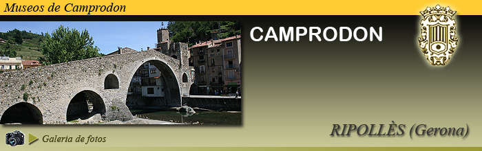 CAMPRODON (Gerona)