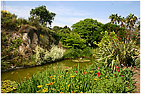 Jardn botnico Mar i Murtra - Blanes (Gerona)