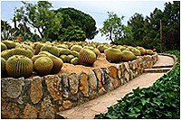 Jardn botnico tropical Pinya de Rosa - Blanes (Gerona)