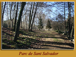 Parc de Sant Salvador