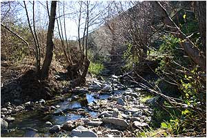 LLAN?: Sant Silvestre de la Valleta