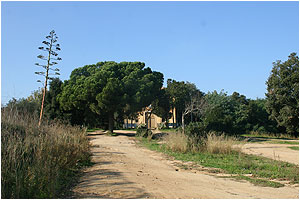 LLORET DE MAR: Ermita de Sant Quirze