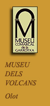 Museu dels Volcans