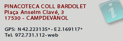 Pinacoteca Coll Bardolet, Campdevànol