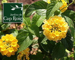 Jardí Botànic de Cap Roig