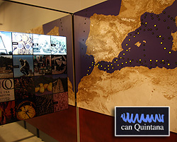 Museu de la Mediterrània