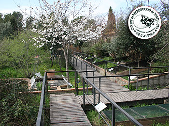 Centre de Reproducció de Tortugues de l'Albera