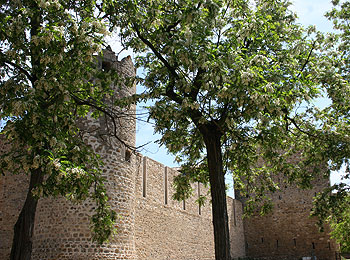 Museu Arqueològic de Calonge