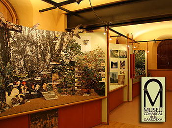 Museu dels Volcans, Olot